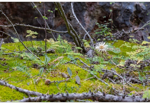 20190925-14 9590-Au goufre de Gourfouran