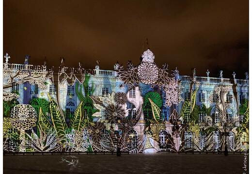 20191126-31 0001-Nancy saint nicolas