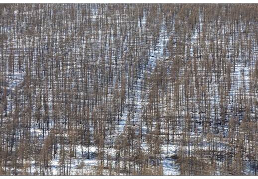 20200218-1048-Col du Lautaret Le Lauzet Pics de Combeynot