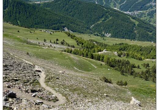 20200622-012 1738-Crete de Vars