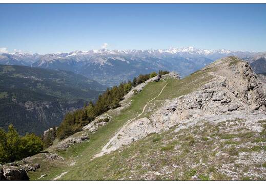 20200622-071 2407-Crete de Vars