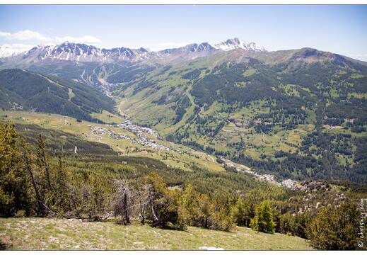 20200622-093 2429-Crete de Vars