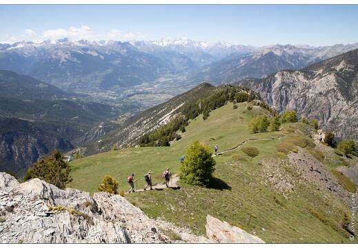 20200622-108 2442-Crete de Vars