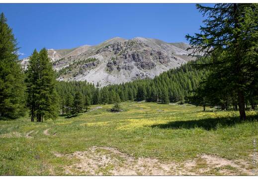 20200624-012 2689-Ceillac