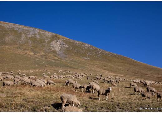 20211001-9387-Col de la Croix de Fer La Combe d Olle