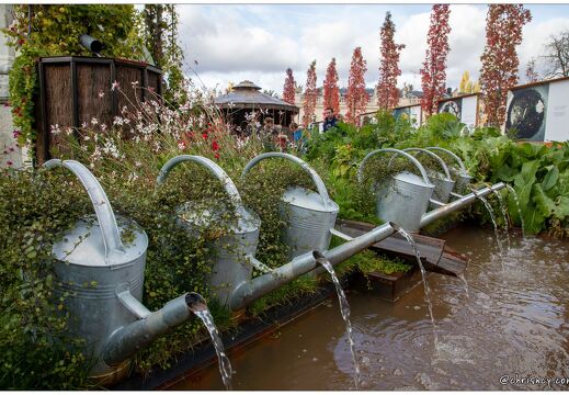 20211026-9922-Nancy-jardin-ephemere