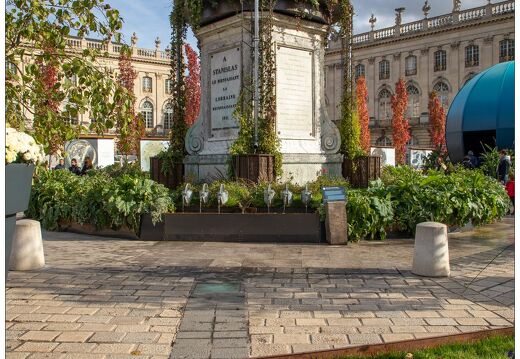 20211026-9932-Nancy-jardin-ephemere