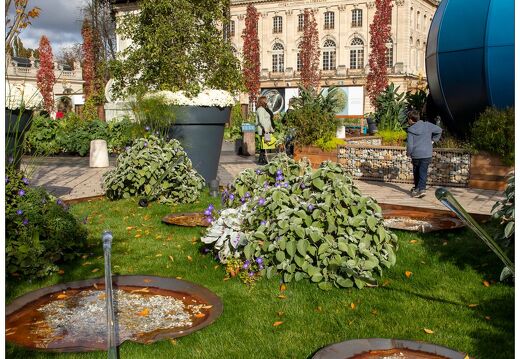 20211026-9934-Nancy-jardin-ephemere