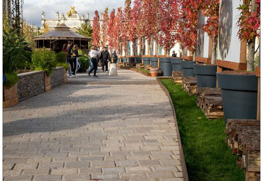 20211026-9939-Nancy-jardin-ephemere