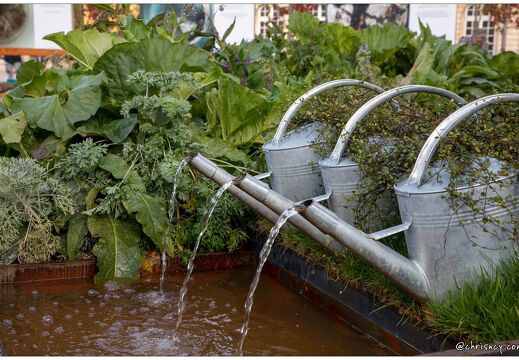 20211026-9940-Nancy-jardin-ephemere