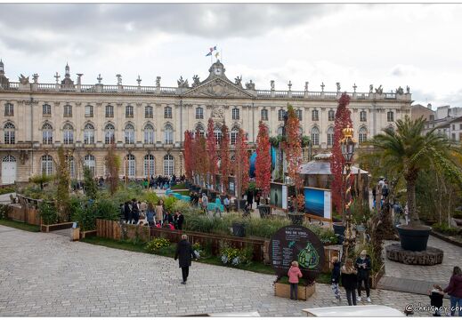 20211026-9943-Nancy-jardin-ephemere