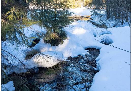 20211218-8826-Lispach La Bresse