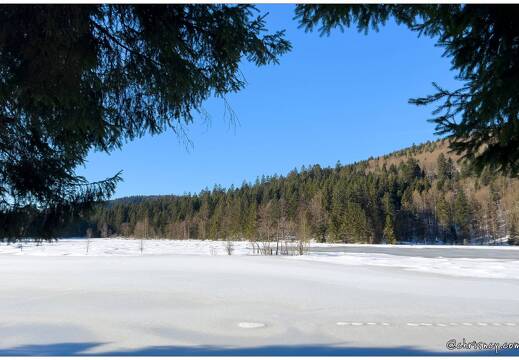 20211218-8834-Lispach La Bresse