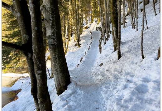 20211218-8841-Lispach La Bresse