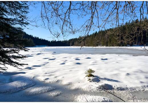 20211218-8847-Lispach La Bresse