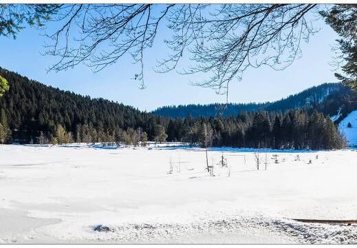 20211218-8863-Lispach La Bresse Pano