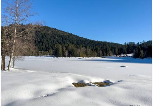 20211218-8865-Lispach La Bresse