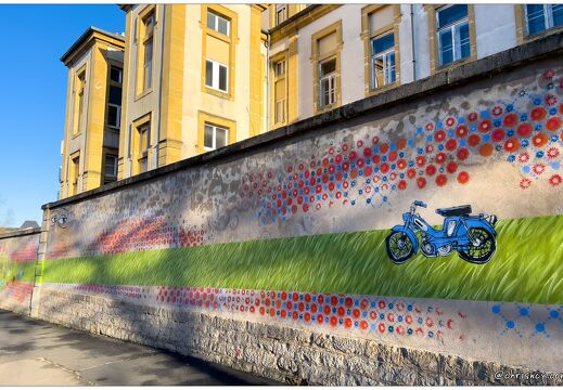 20220207-10 9989-Nancy Petits plaisirs existentiels