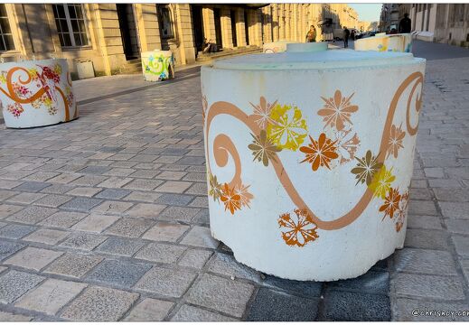 20220207-0018-Nancy Plots peints