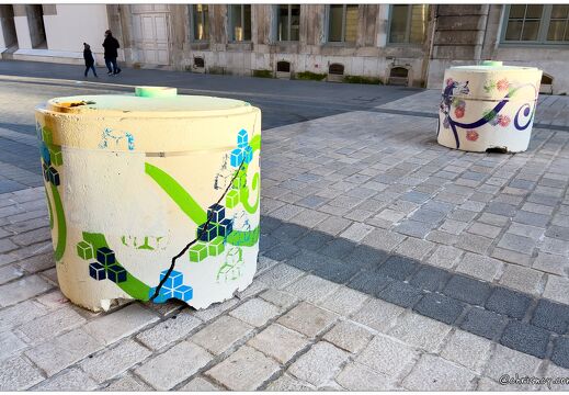 20220207-0023-Nancy Plots peints