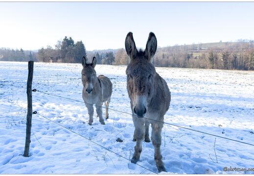 20220126-9821-Balade a Eteaux