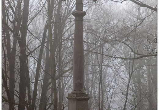 20220125-0380-Vue depuis le Salève