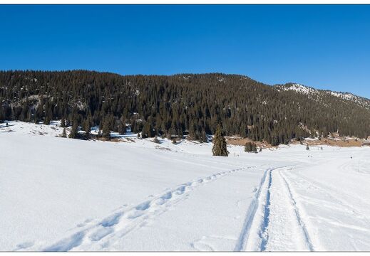 20220124-9647-Plateau des Glieres Pano