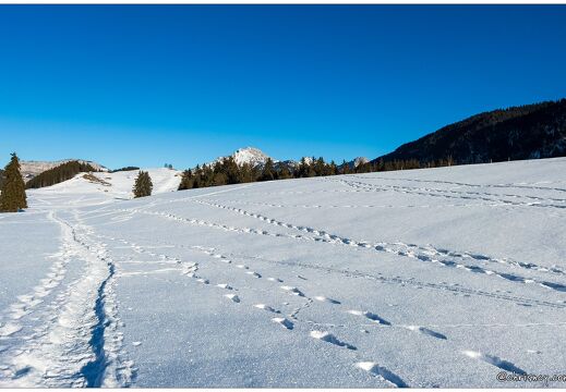 20220124-9661-Plateau des Glieres
