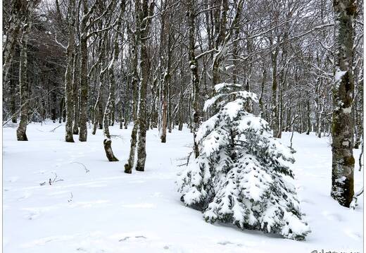 20220211-0101-Les trois fours