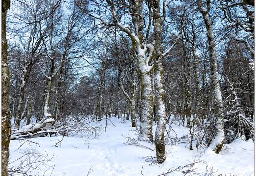 20220211-0116-Les trois fours