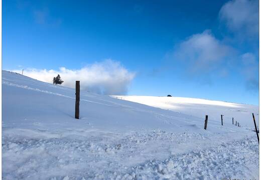 20220211-0132-Au Hohneck