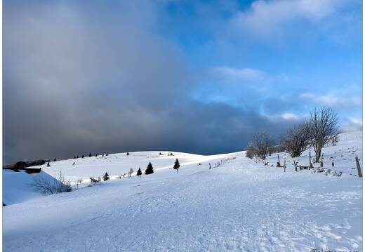 20220211-0133-Au Hohneck