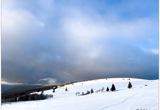 20220211-0139-Au Hohneck