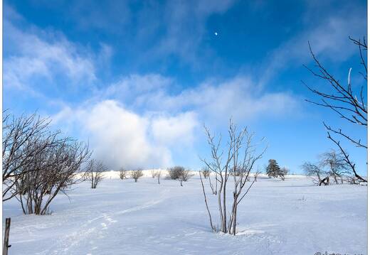 20220211-0140-Au Hohneck