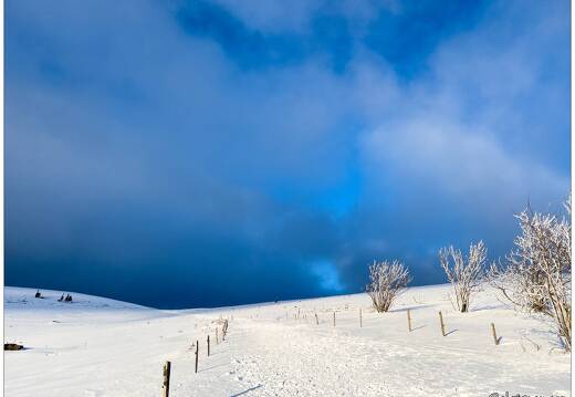 20220211-0144-Au Hohneck