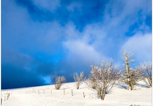 20220211-0145-Au Hohneck