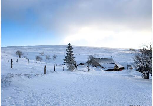 20220211-0154-Au Hohneck