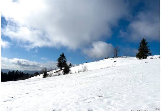 20220211-0058-La Bresse la piquante pierre