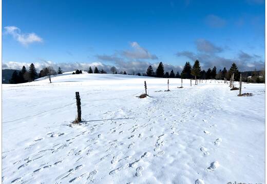 20220211-0066-La Bresse la piquante pierre