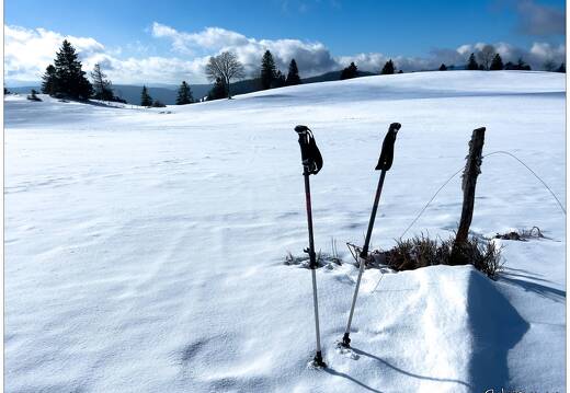 20220211-0069-La Bresse la piquante pierre