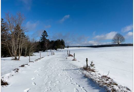20220211-0072-La Bresse la piquante pierre