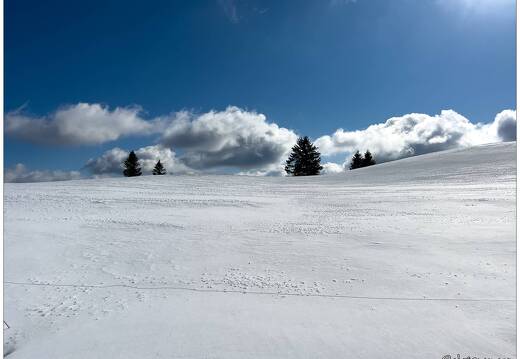 20220211-0074-La Bresse la piquante pierre