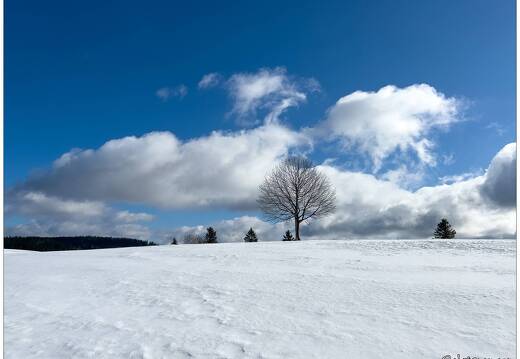 20220211-0092-La Bresse la piquante pierre