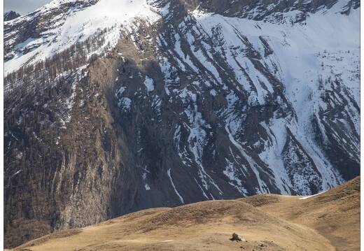 20220430-12 1198-Col de Vars
