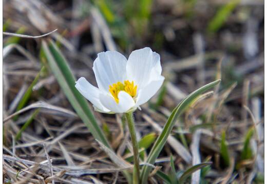 20220430-23 1201-Col de Vars
