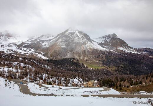 20220506-098 1675-Col de l'Izoard
