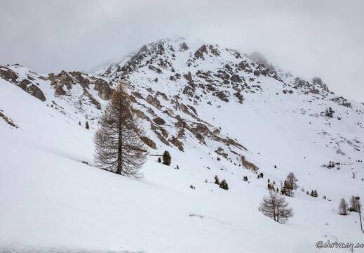 20220506-100 1677-Col de l'Izoard