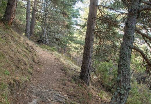 20220511-33 1983-Vars le chateau chemin Ste Catherine