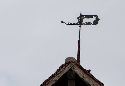 20220523-08 2058-Piney