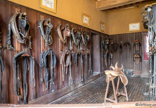 20220525-85 2444-La Ferte Saint Aubin